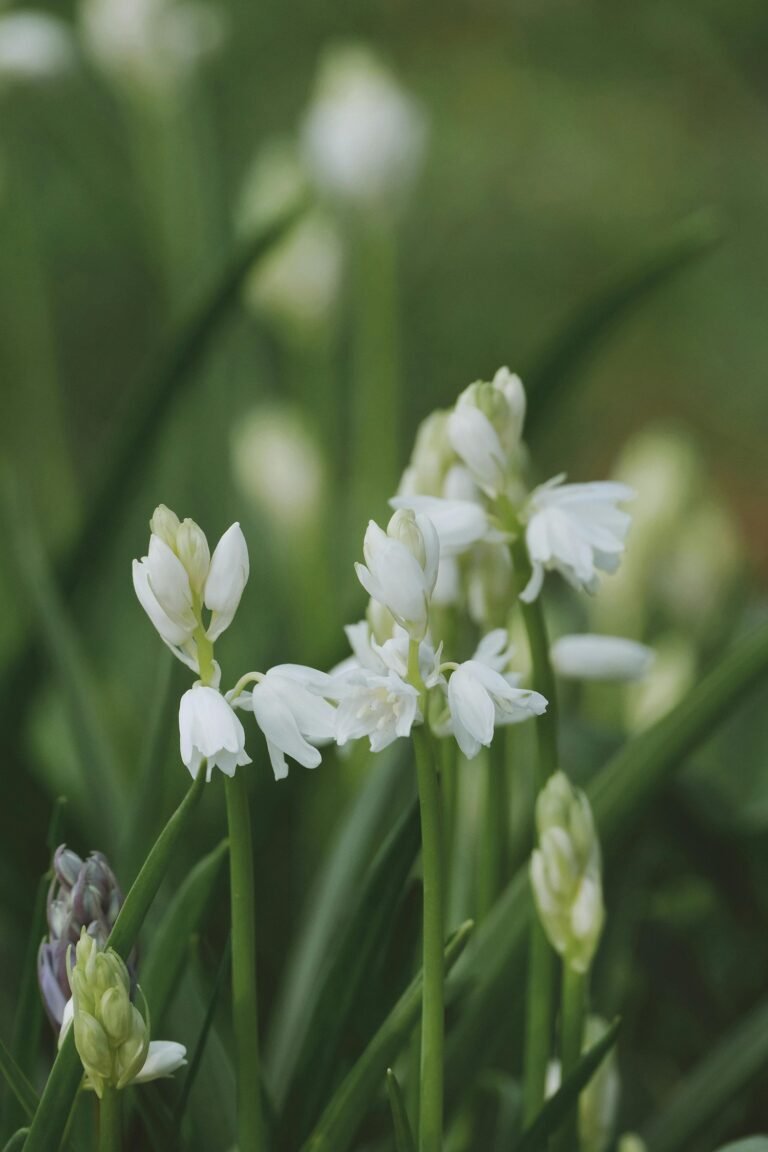 You are Worth Supporting